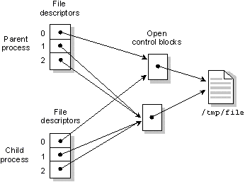 fig: images/dupfd_en.gif